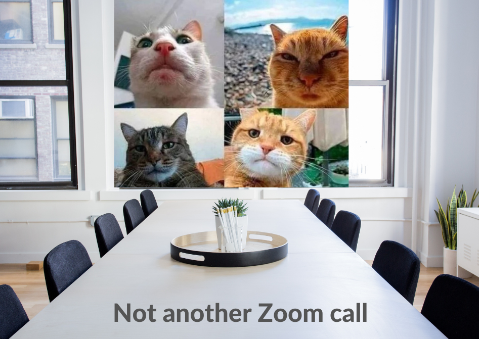 cats on a Zoom call in an office setting